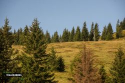 2022-08-20 Koralm Trailrunning Event 2022 - DSC_3667